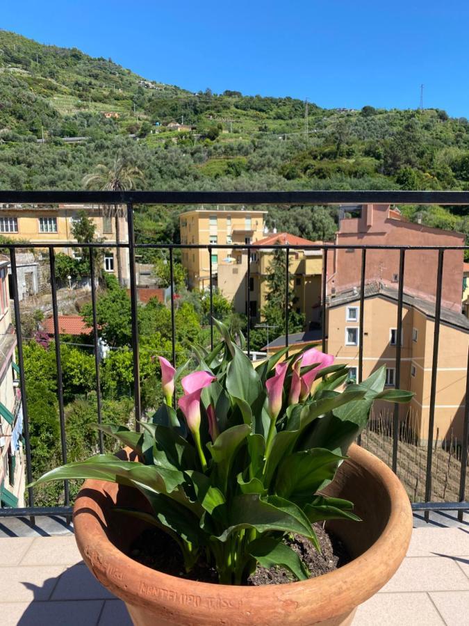 Апартаменти La Terrazza Di Monterosso Монтероссо-аль-Маре Екстер'єр фото