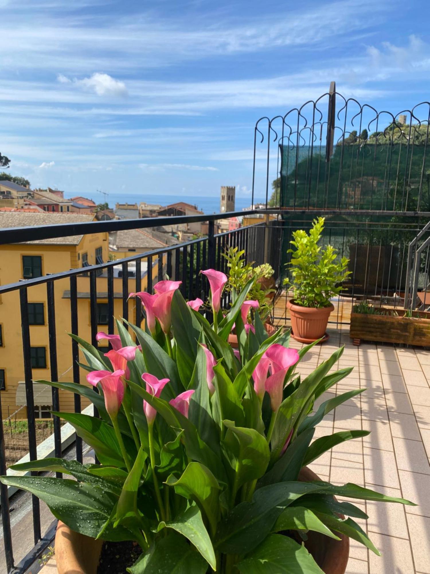 Апартаменти La Terrazza Di Monterosso Монтероссо-аль-Маре Екстер'єр фото