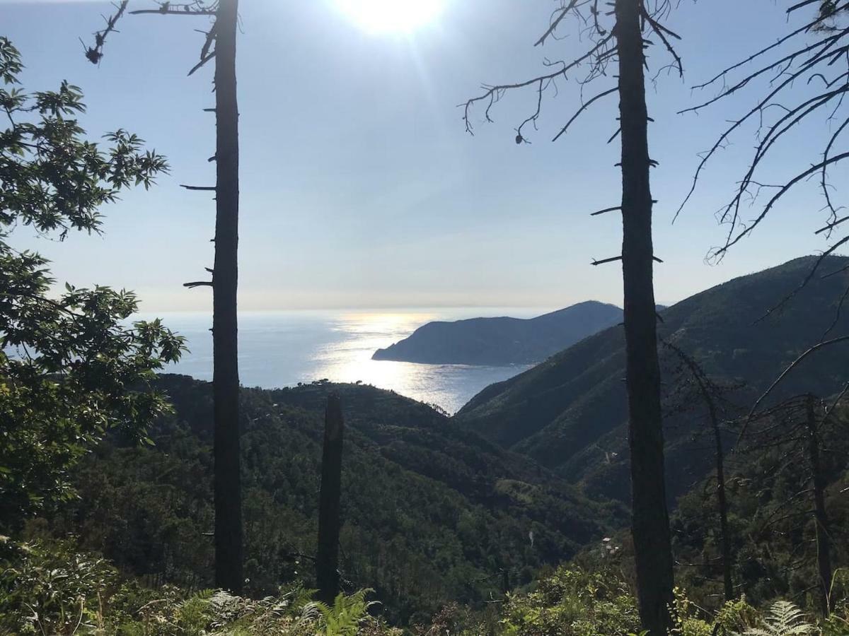 Апартаменти La Terrazza Di Monterosso Монтероссо-аль-Маре Екстер'єр фото