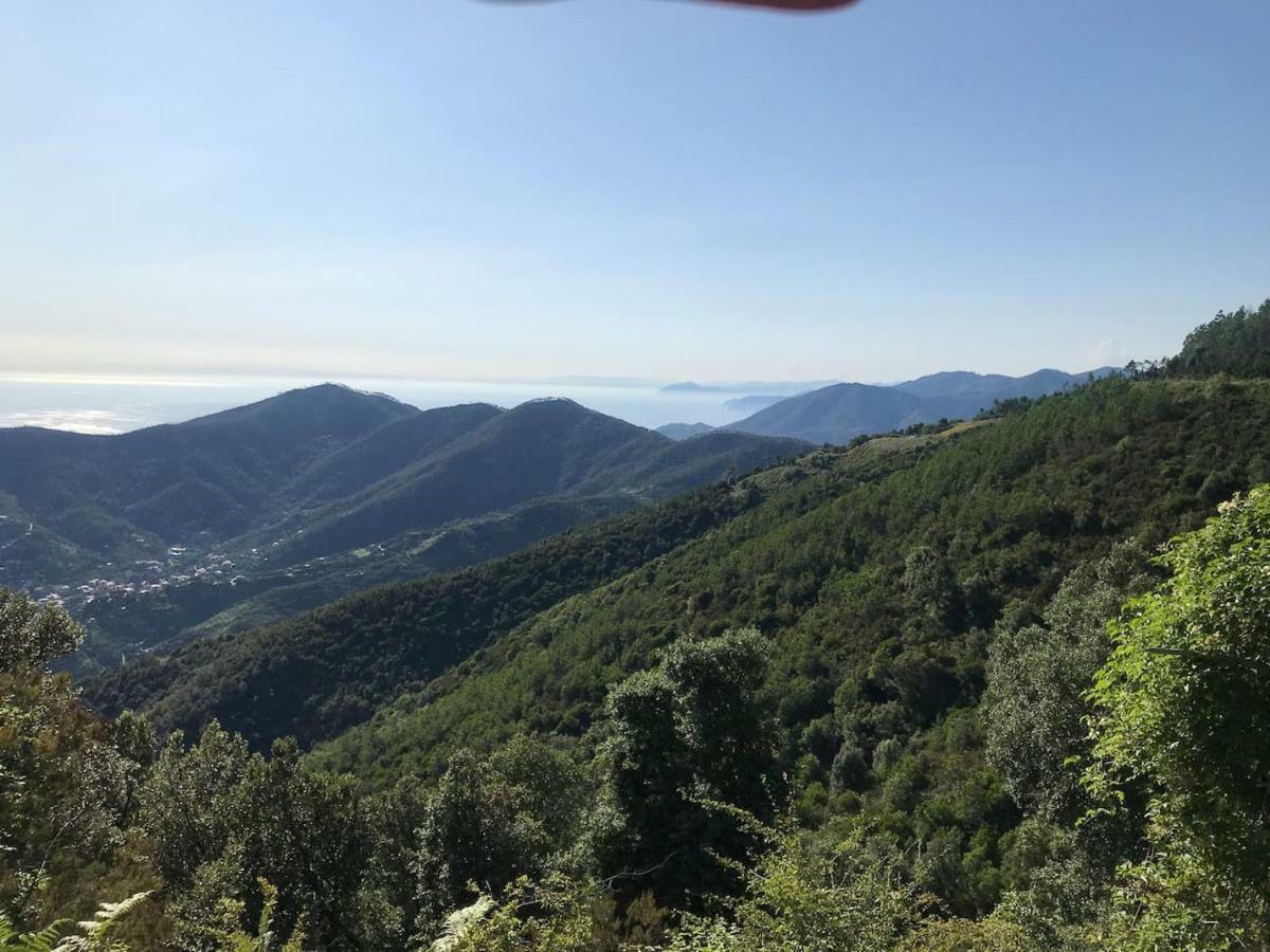 Апартаменти La Terrazza Di Monterosso Монтероссо-аль-Маре Екстер'єр фото